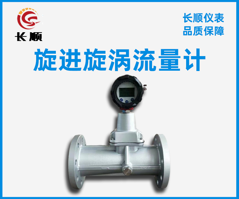 旋進(jìn)旋渦流量計